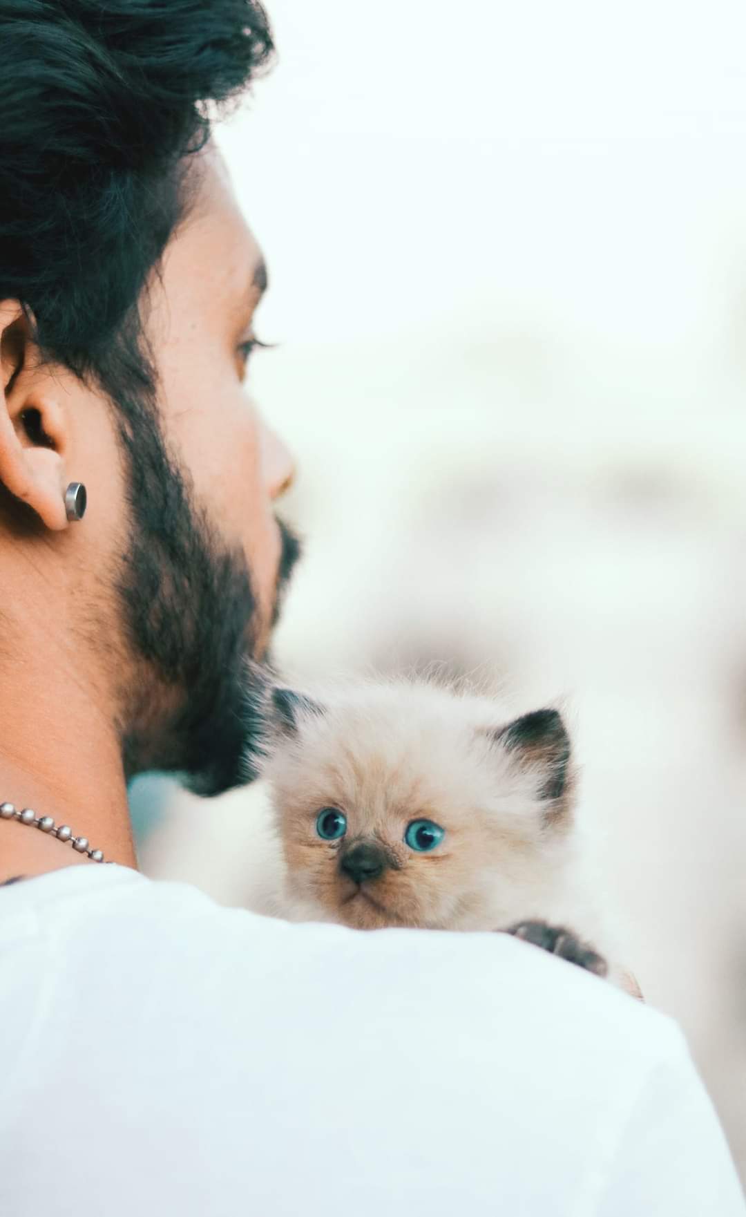 π±πExotic Quality & Colour 2 months Kittens ππ±